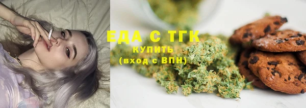 СК Горнозаводск