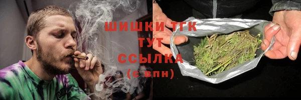 мдпв Тавда