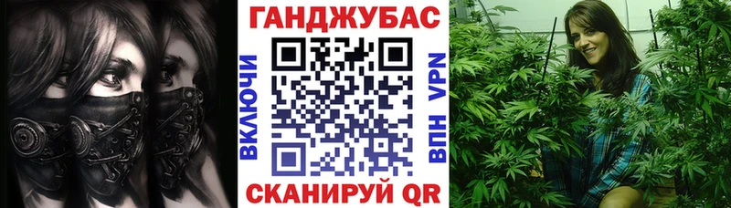 сколько стоит  Дно  Каннабис Amnesia 